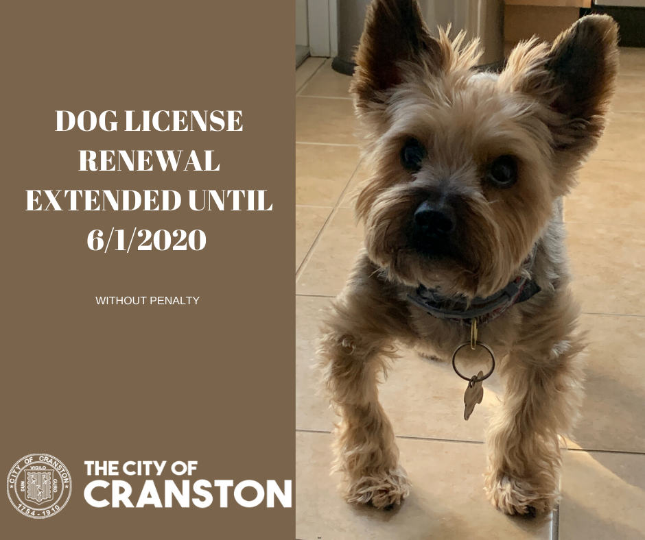 DOG LICENSE RENEWAL EXTENDED UNTIL 6/1/2020